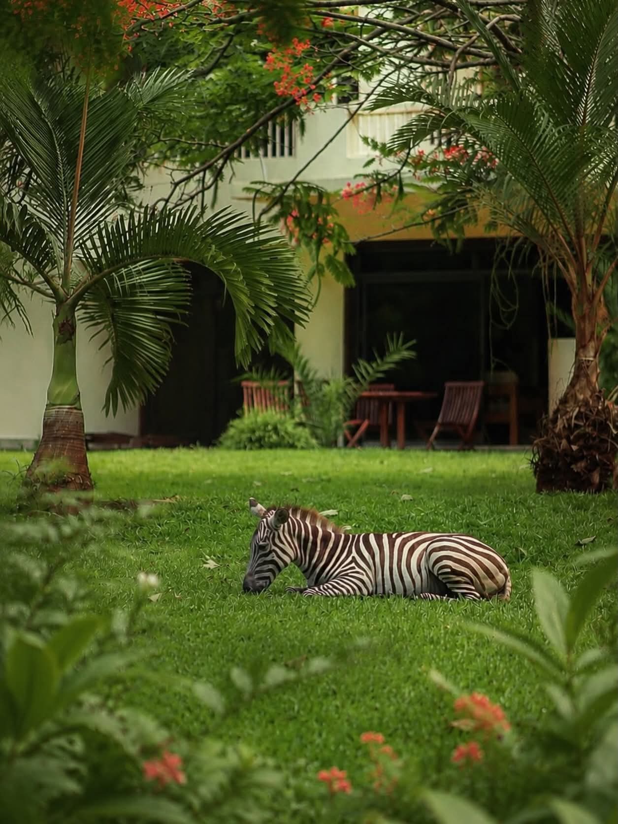 Vipingo Experience - Oceanbaby Tours & Travel