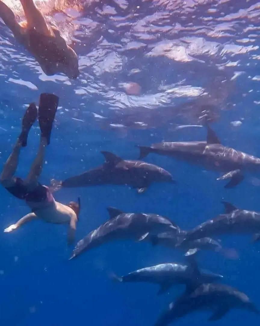 Zanzibar Experience - Oceanbaby Tours & Travel