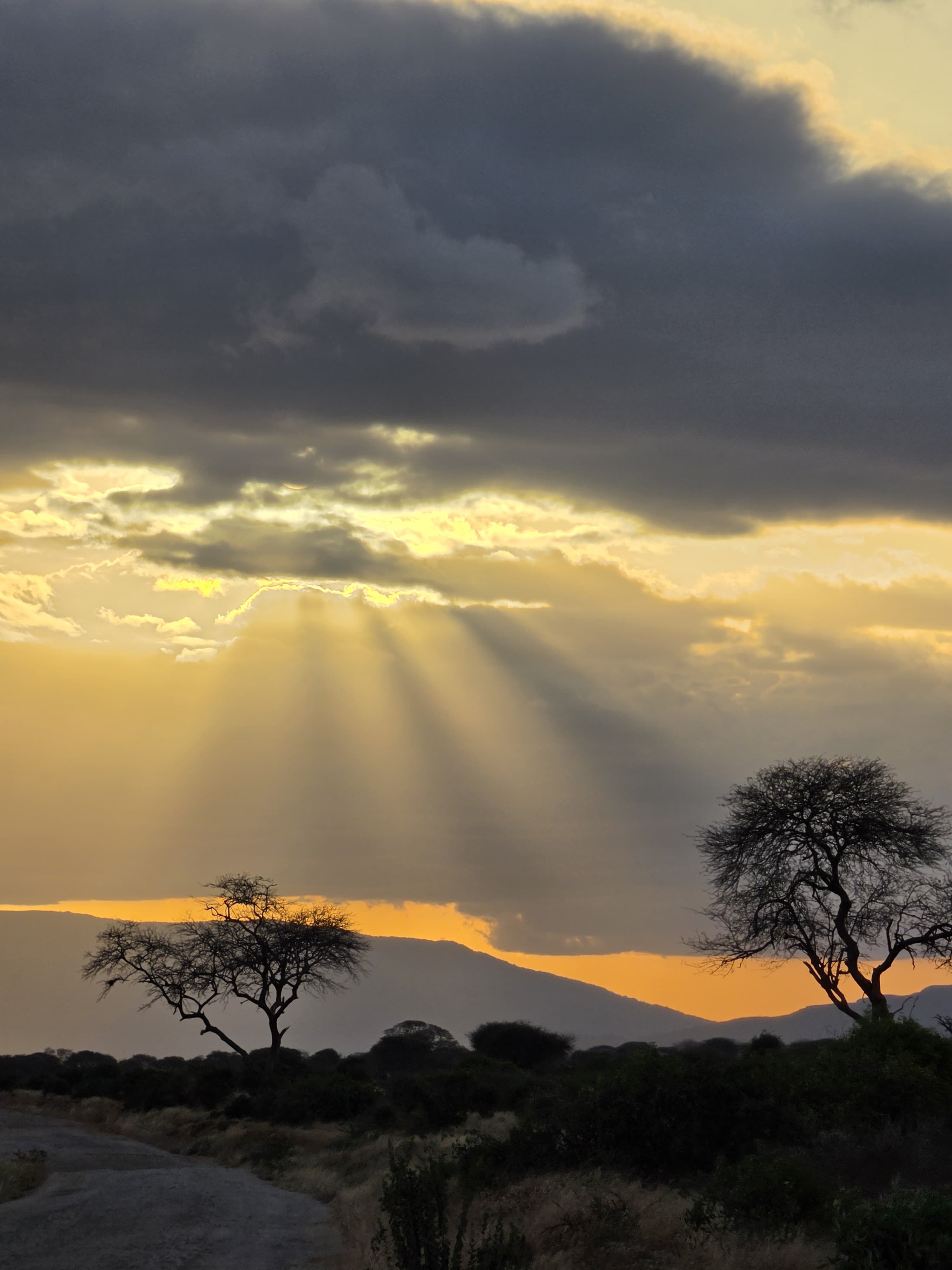 Tsavo East National Park 2