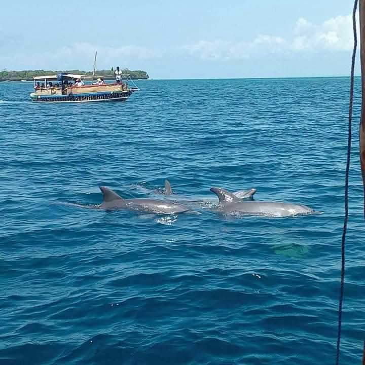 Wasini Island 7