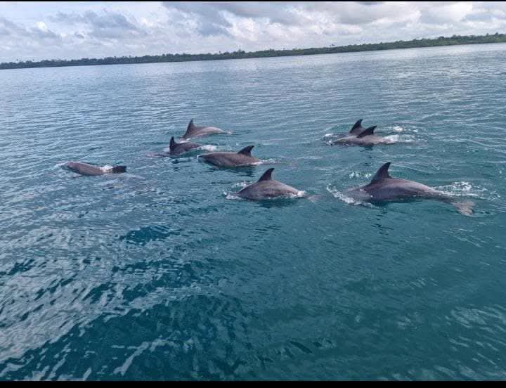 Wasini Island 8